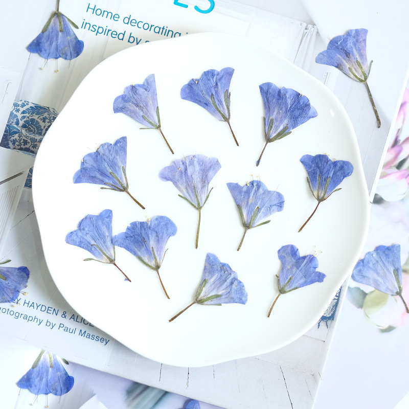 12pcs/3-5cm,nature Bluebell Em - Beauty Makeup Bridal recensione e prezzo