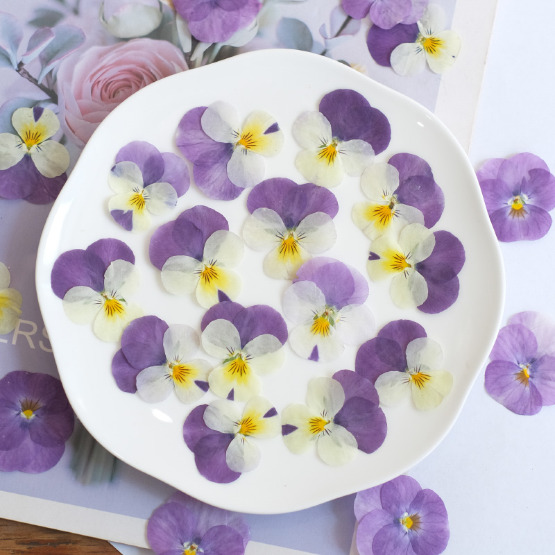 12pcs,nature Pansy Dried Flowe - Beauty Makeup Bridal recensione e prezzo